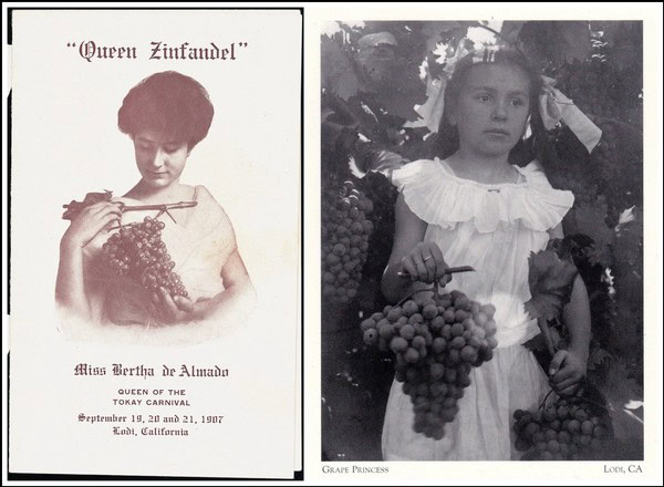 Vintage Queen Zinfandel wine label and girl holding grapes in a vineyard.