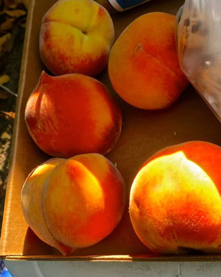 Freshly picked peaches with vibrant orange and yellow hues from Lodi Winegrape Commission.