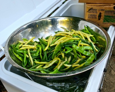 Fresh green beans and garlic in a stainless steel bowl, ready for cooking or processing.