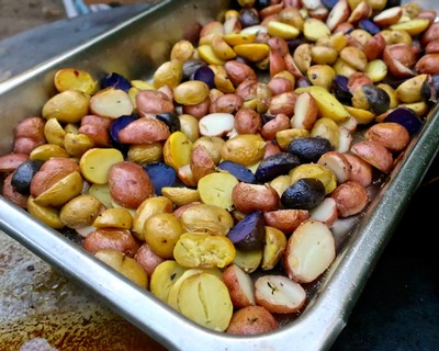 Colorful winegrape berries harvested in Lodi, California, ready for winemaking process.