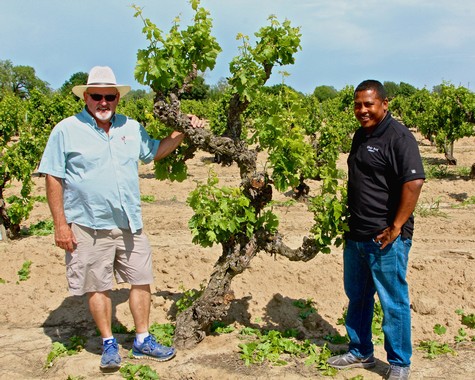Two men standing next to a grapevine in a vineyard during daytime, smiling and enjoying the winegrowing environment.
