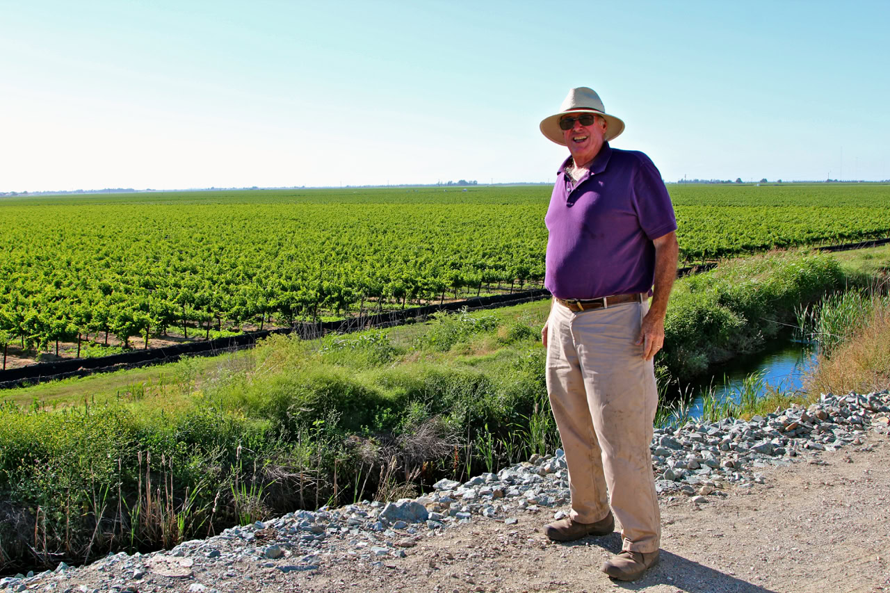 Man standing in vineyard with lush grapevines and blue sky, promoting Lodi winegrape industry.
