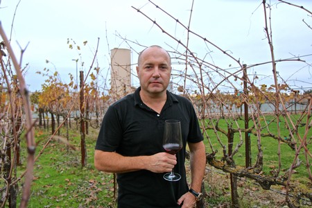 Man holding glass of red wine in vineyard during daytime, Lodi Winegrape Commission event.