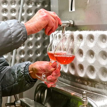 Person pouring rosé wine from a stainless steel tank into a glass during wine production.
