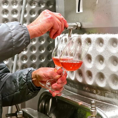 Winemaker pouring wine into glasses at Lodi Winegrape Commission facility.