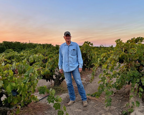 Man standing in a lush vineyard at sunset, showcasing healthy grapevines for wine production.