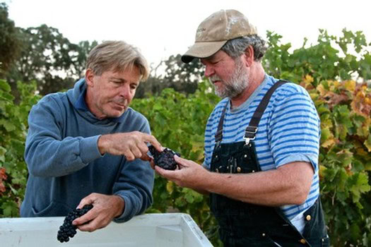 Two men inspecting grapes in a vineyard, representing Lodi Winegrape Commission activities.
