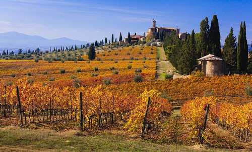 Vineyard in Lodi with colorful grapevines, rolling hills, and a historic building in the background.