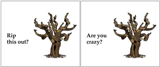 Illustration of a gnarled, leafless tree with humorous text about ripping it out or being crazy.