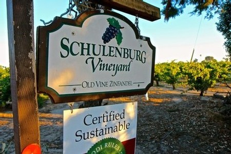 Schulenburg Vineyard sign in Lodi Wine Region, California, showcasing sustainable winegrowing practices.
