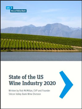 Vineyard landscape with mountains in the background, representing the US wine industry in 2020.
