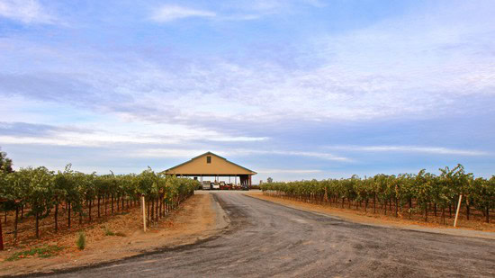 Vineyard rows leading to a winery building under a partly cloudy sky in Lodi, California.