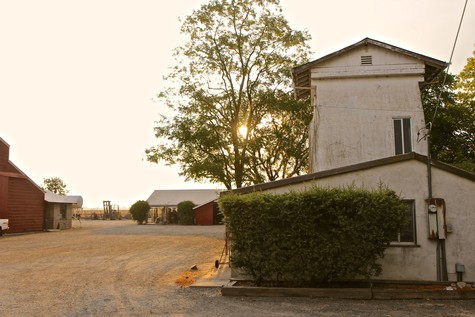 Sunset over a vineyard with a small building and trees in Lodi, California, showcasing local wine grape agriculture.