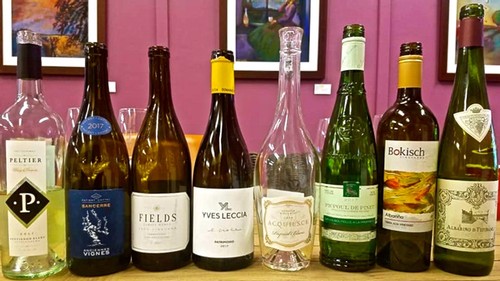 Collection of wine bottles from Lodi Winegrape Commission showcasing diverse labels and wine varieties.