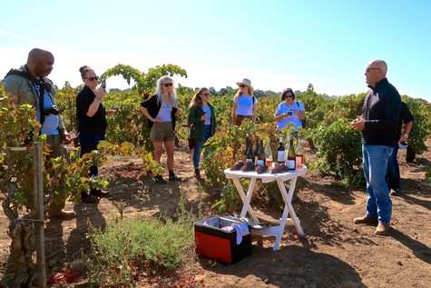 Group of people on a vineyard tour with a guide, tasting wine and learning about grape growing in Lodi, California.