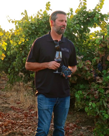 Man tasting wine and holding grapes in a vineyard during sunset in Lodi, California.