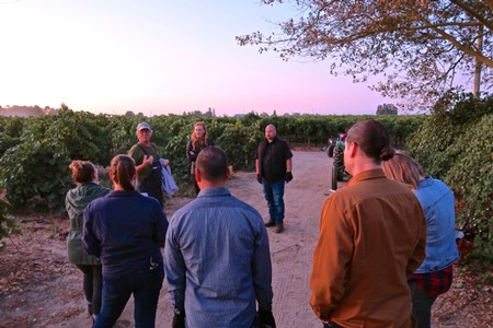 Group of people touring a vineyard at sunset, learning about winegrape cultivation in Lodi, California.