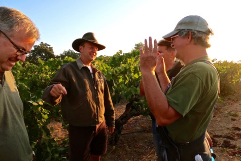 Group of people touring a vineyard in Lodi, California, discussing grape growing and wine production.