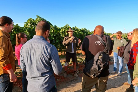 Group of people listening to a vineyard guide at Lodi Winegrape Commission in sunny outdoor setting.
