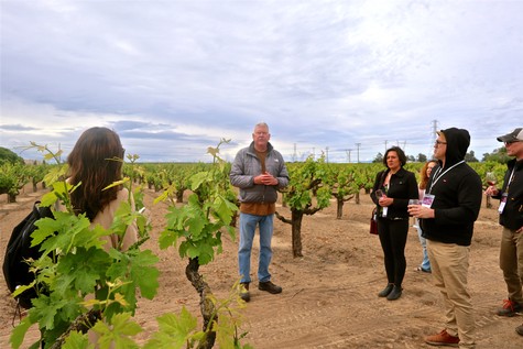 Group of people touring a vineyard with a guide in Lodi, California, showcasing grapevines under a cloudy sky.