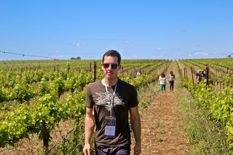 Man walking through a lush vineyard in Lodi, California, during a sunny day, with other visitors in the background.