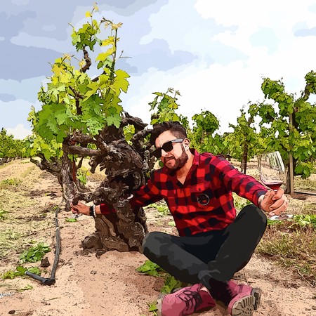 Man in sunglasses and red plaid shirt sitting in a vineyard with a glass of wine.
