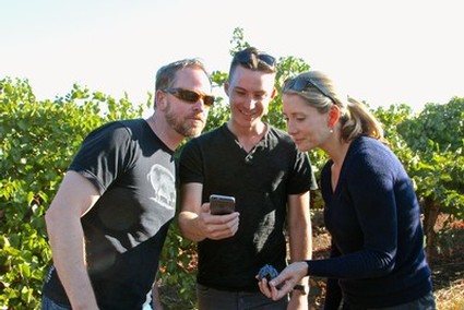 Three people in a vineyard looking at a smartphone, enjoying Lodi wine grape region.