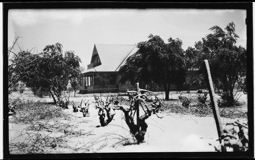 Black and white photo of a church surrounded by trees and fallen branches, with a snow-covered ground.