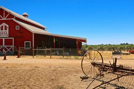 Red barn and vintage farming equipment on a vineyard in Lodi, California under a clear blue sky.