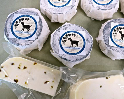Cheese samples with Shirley's Dream label from Lodi Winegrape Commission.