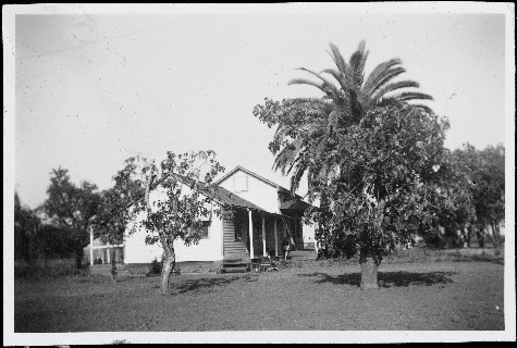 Vintage black and white photo of a vineyard estate with a house and tall palm trees in Lodi, California.