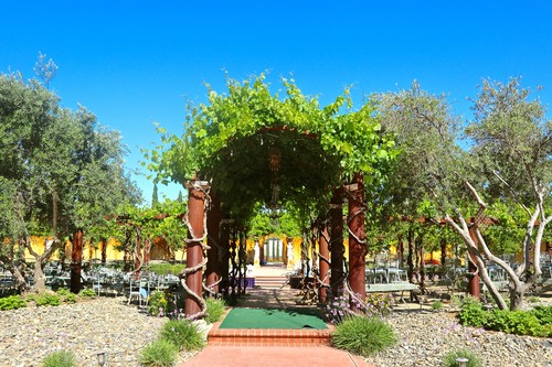 Vineyard entrance with lush green canopy and wooden archway in Lodi, California, under a clear blue sky.