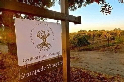 Sign for Stampede Vineyard, a certified historic vineyard in Lodi, California, known for its winegrapes.