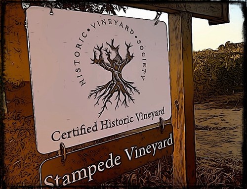 Sign for Stampede Vineyard, a certified historic vineyard in Lodi, California, known for premium winegrapes.