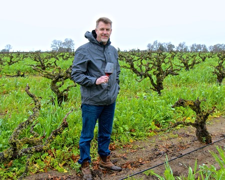 Man inspecting grapevines in a lush vineyard, holding a glass of wine, under a cloudy sky.