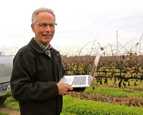 Man with glasses in a black jacket using a laptop in a vineyard during daytime.