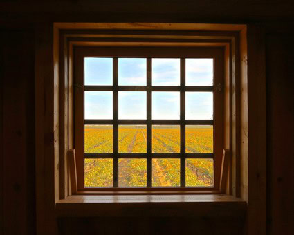 Scenic view of a Lodi winegrape vineyard through a wooden window frame.