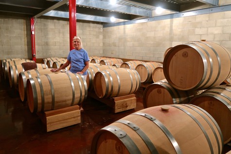 Man inspecting wine barrels in a winery cellar with wooden barrels and concrete walls.