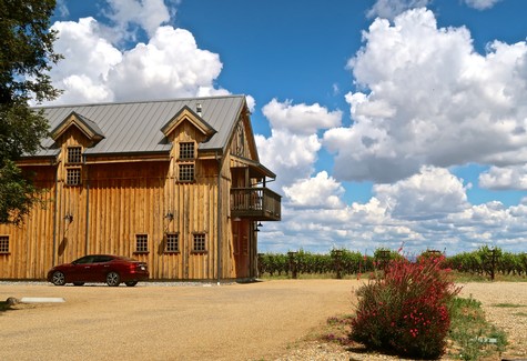 Scenic view of a vineyard with a rustic wooden building under a bright blue sky with clouds.