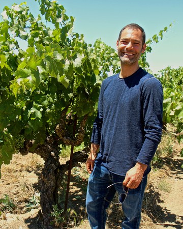 Smiling man in a vineyard holding sunglasses, surrounded by lush grapevines in Lodi, California.