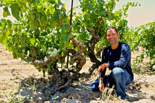 Smiling man kneeling next to a gnarled grapevine in a lush vineyard in Lodi, California.