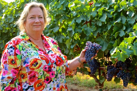 Woman in colorful floral shirt holding a bunch of ripe grapes in a vineyard.