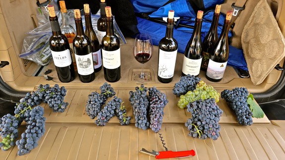 Wine bottles and grape clusters from Lodi Winegrape Commission for wine tasting and vineyard quality.