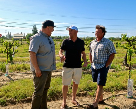 Three men in casual clothing talking in a vineyard with grapevines and blue sky in the background.