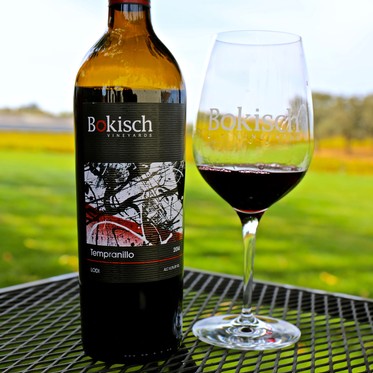 Lodi Tempranillo wine bottle and glass on outdoor table with vineyard background.