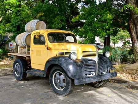 Old yellow truck carrying wine barrels, parked under green trees, vintage agricultural vehicle.