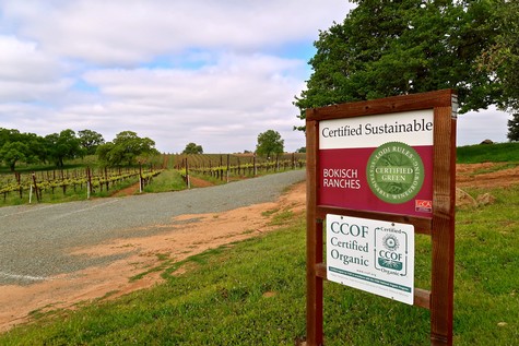 Vineyard entrance with signs for certified sustainable, organic, and green winegrowing practices in Lodi, California.