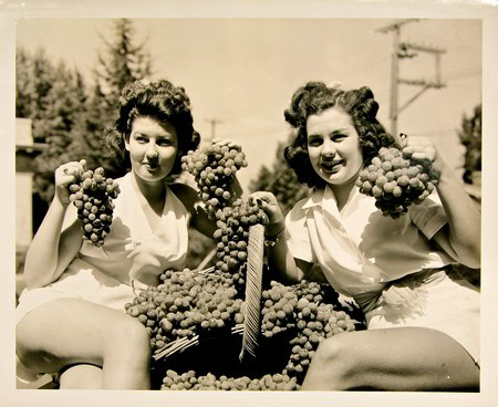 Two women harvesting grapes in a vintage black-and-white photo, smiling and holding bunches of grapes outdoors.