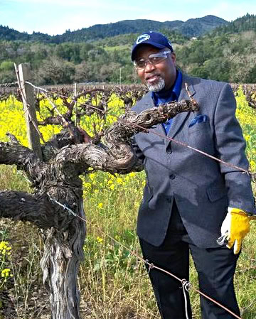Man in suit and gloves inspecting a grapevine in a vineyard with hills in the background.