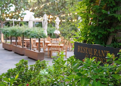 Vineyard with outdoor dining area and string lights, lush greenery, and a restaurant sign in Lodi, California.